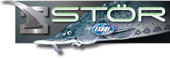 Exori Stör Project Exori Stör Project