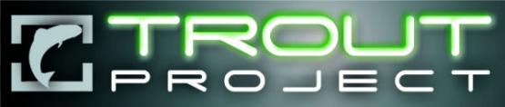 Exori Trout Project Exori Trout Project