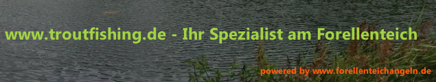 Zur Startseite gehen